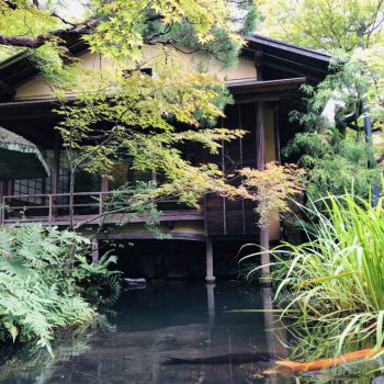 鄰近南禪寺　環境靜幽的料理旅館「菊水」